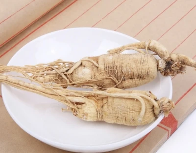Za šta se koristi ekstrakt korijena Panax Ginseng?